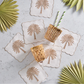 The Kim Seybert Date Palm Cocktail Napkin Set, paired with white coasters, wicker cups with striped straws, and decorative palm leaves on a light grey surface—ideal for breezy gatherings or a standout hostess gift.