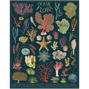 A stunning illustration of labeled ocean flora, coral, seaweed, and marine plants on a dark background is featured on the Cavallini Papers and Co Ocean Flora 1,000 Piece Puzzle—a captivating challenge for puzzle enthusiasts.