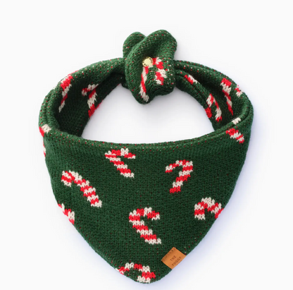 The Foggy Dog Knit Candy Cane Dog Bandana in green with a repeating white and red candy cane pattern, tied in a knot as a festive dog collar.