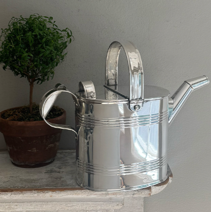 The Hôtel Silver Vintage Watering Can rests on a white shelf beside a small green potted plant.