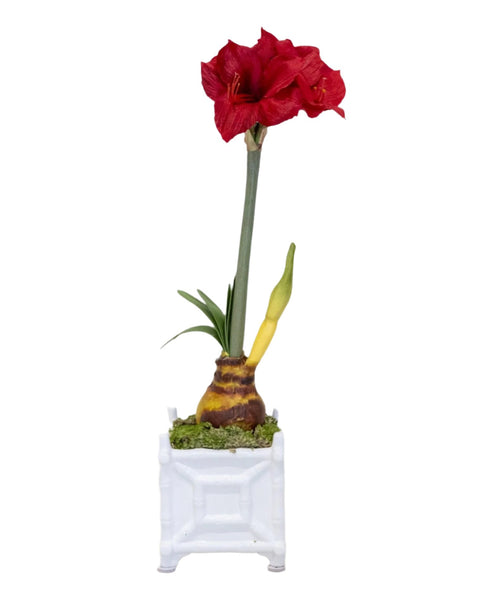 Faux Amaryllis