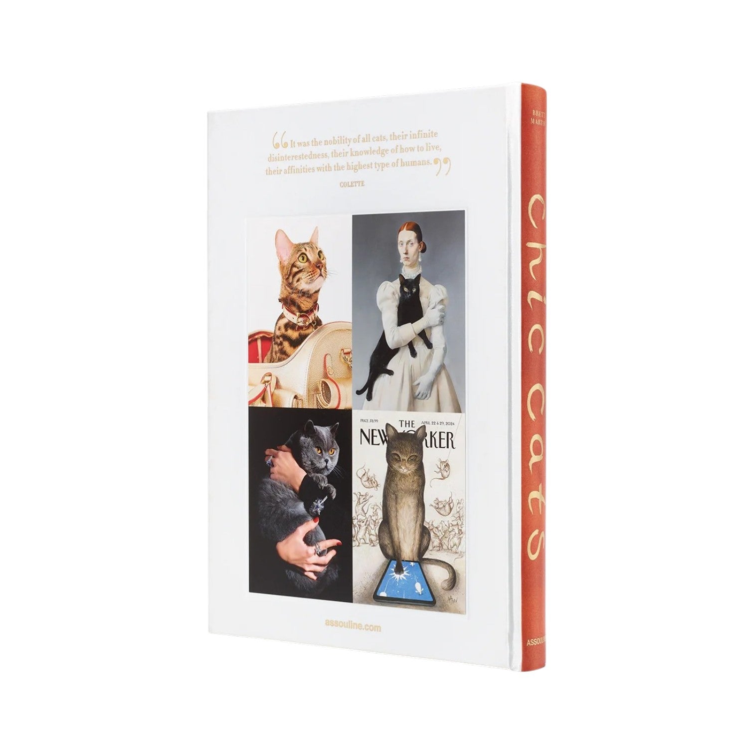 Chic Cats" by Assouline is a hardcover book featuring cats in art, with images of diverse cats and historical figures displayed on the back cover.