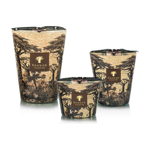 Three Baobab Collection Sacred Trees Mankono Candles in various sizes, featuring decorative brown and gold containers inspired by African textiles and filled with a woody, spicy Mankono fragrance.