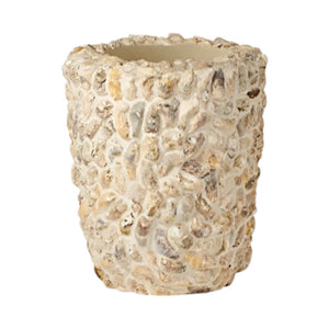 The Borsala Oyster Shell Planter, Small by Made Goods is a beige, round planter with a textured surface inspired by raw oyster shells.