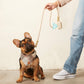 A person holding The Foggy Dog’s Waste Bag Dispenser in Flax stands next to a French Bulldog sporting a chic plaid bandana, seated on a concrete floor.