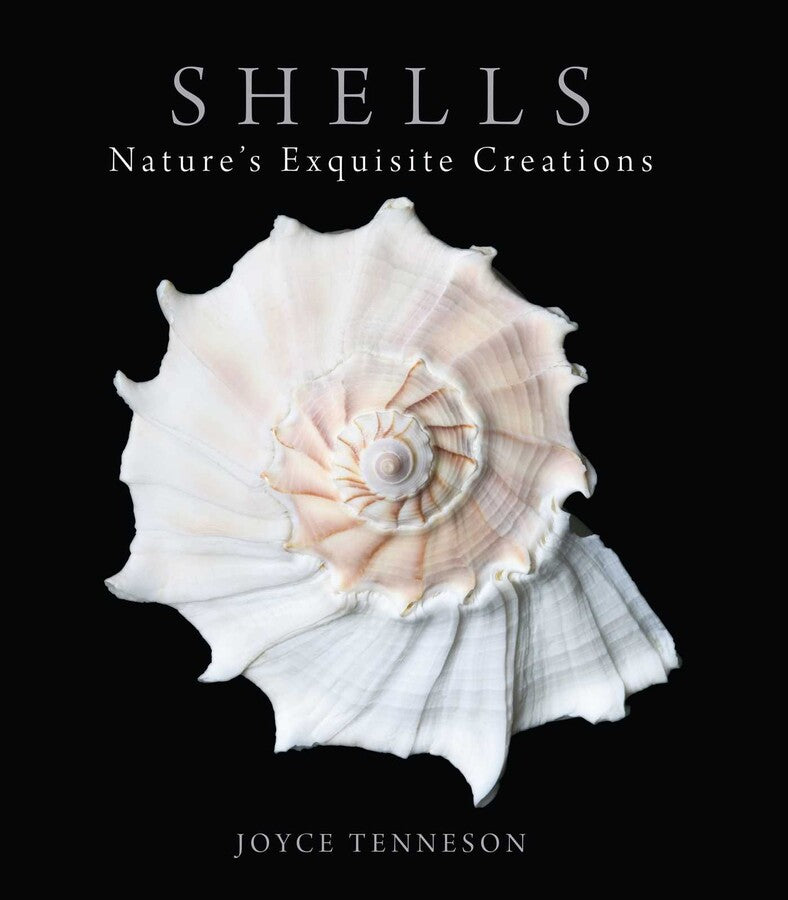 Book cover featuring a striking close-up of a pale, luminous spiral shell set against a black background. The product name “Shells” appears prominently above the image, while the brand “Simon & Schuster” is displayed below—an elegant homage to the photographic artistry of sea shells.