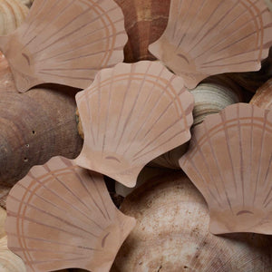 Five scallop shell-shaped paper cutouts from the Rifle Paper Co. Seaside Sticky Notes collection are arranged on real seashells, blending beautifully with the natural shells underneath. These sticky note pads mimic the appearance of actual seashells, creating a charming and seamless display.