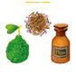 Illustrations of a bergamot fruit, dried tea leaves with purple flowers, and a brown bottle labeled "Musc" appear above the text "Baobab Collection Sand Atacama Candle." The description below reads "Bergamote - Earl Grey Tea - Musk," perfect for enhancing your space with hand-blown glass artistry by Baobab.