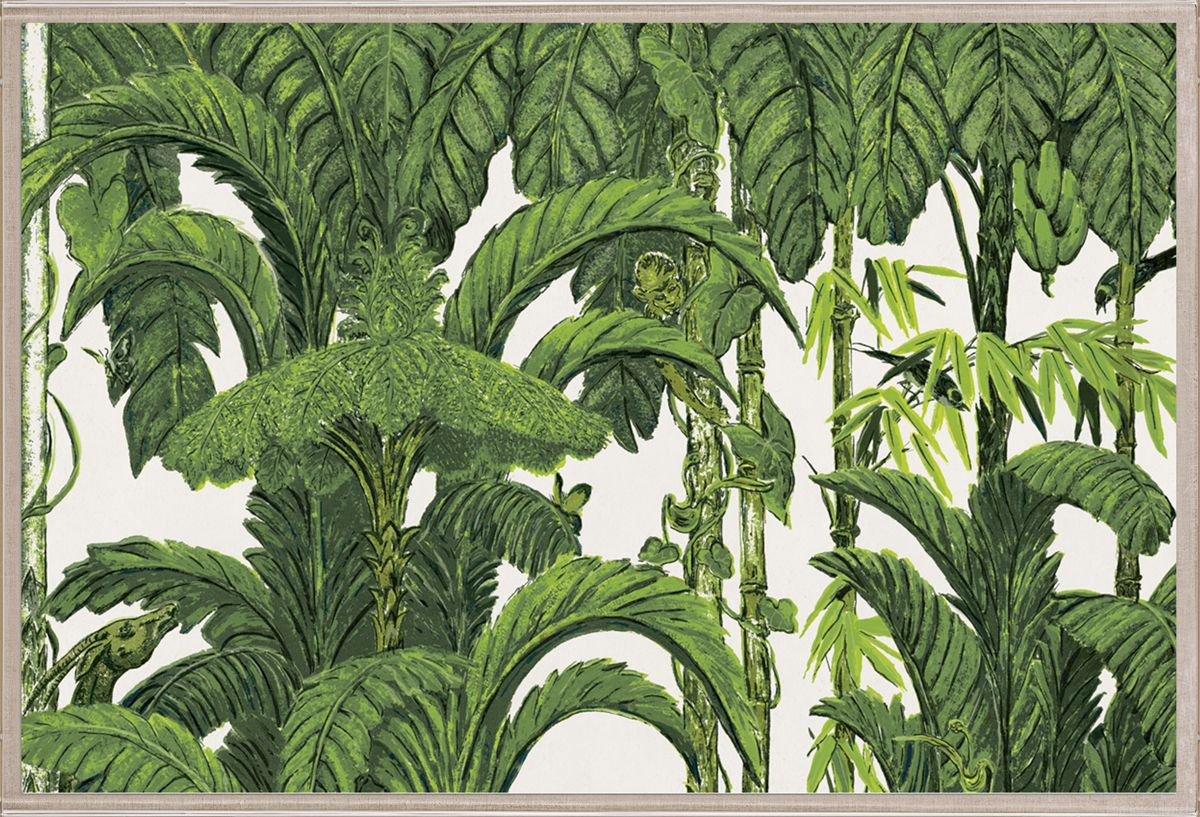 Tropical Conservatory by Natural Curiosities features lush green tropical plants on a white background, evoking paradise and calm—ideal for display in an acrylic box frame and perfect for a botanical or jungle-themed decor.
