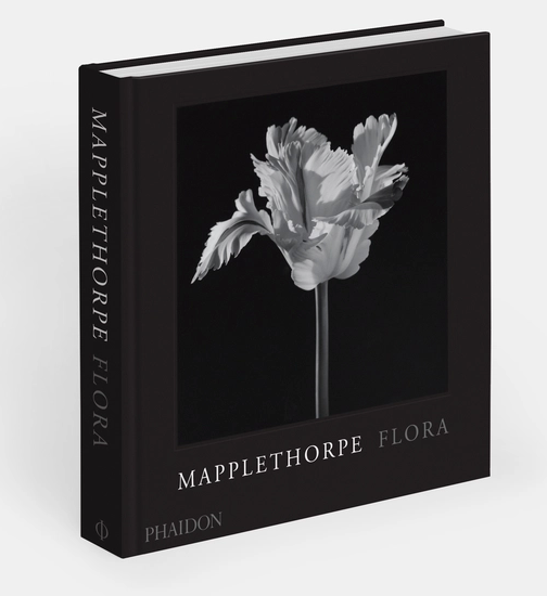Mapplethorpe Flora: The Complete Flowers" by Phaidon is a captivating photography book featuring a black and white cover photo of a single flower, showcasing the iconic style of renowned 20th-century artist Robert Mapplethorpe.