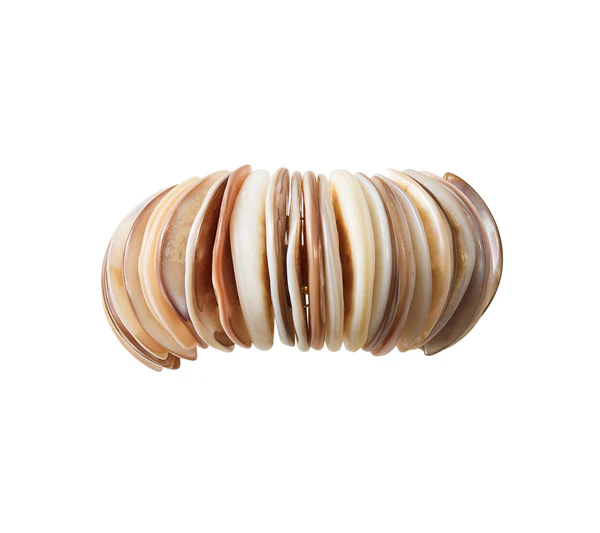The Kim Seybert Shell Arch Napkin Ring features stacked, round shell discs in brown, cream, and beige shades, evoking coastal entertaining style—displayed on a white background.