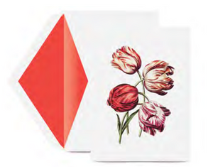 The Crane Modern Vintage Tulips Card Set includes a greeting card with four red and white tulip illustrations, paired with an open white envelope featuring an orange interior—an elegant addition to your stationery collection.