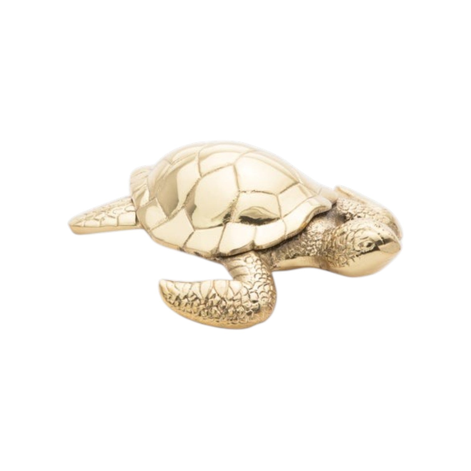 The Viseu Turtle Object by Pigeon & Poodle features a gold finish with a detailed shell and textured flippers, adding nature-inspired décor to any space against a crisp white background.