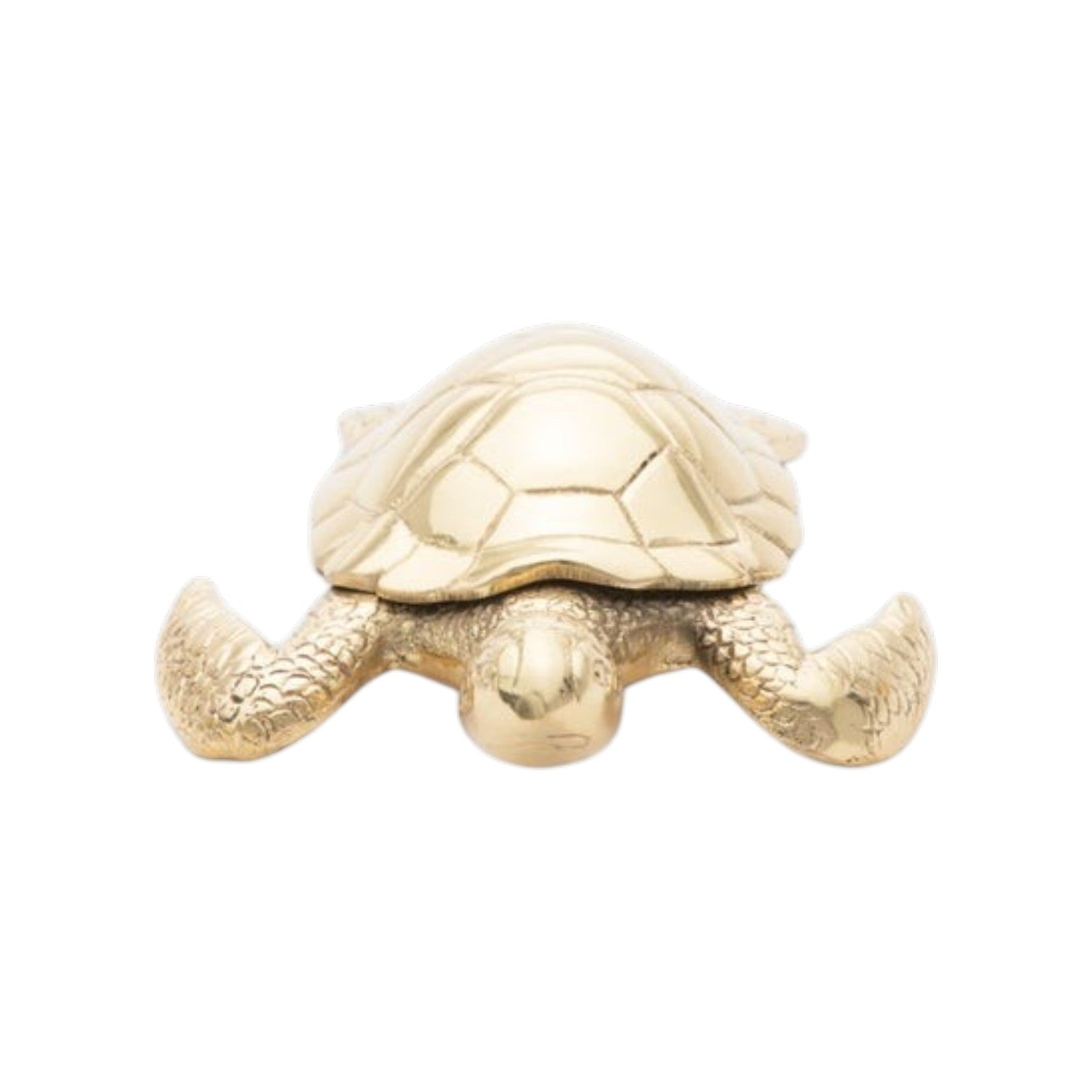 The Viseu Turtle Object by Pigeon & Poodle features a detailed shell and textured legs, making it a striking gold decor accent or paperweight, displayed here against a white background.