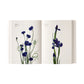 An open Phaidon Flower Color Guide shows blue flower photographs with botanical names on each page against a white background—ideal for discovering flower varieties by color.