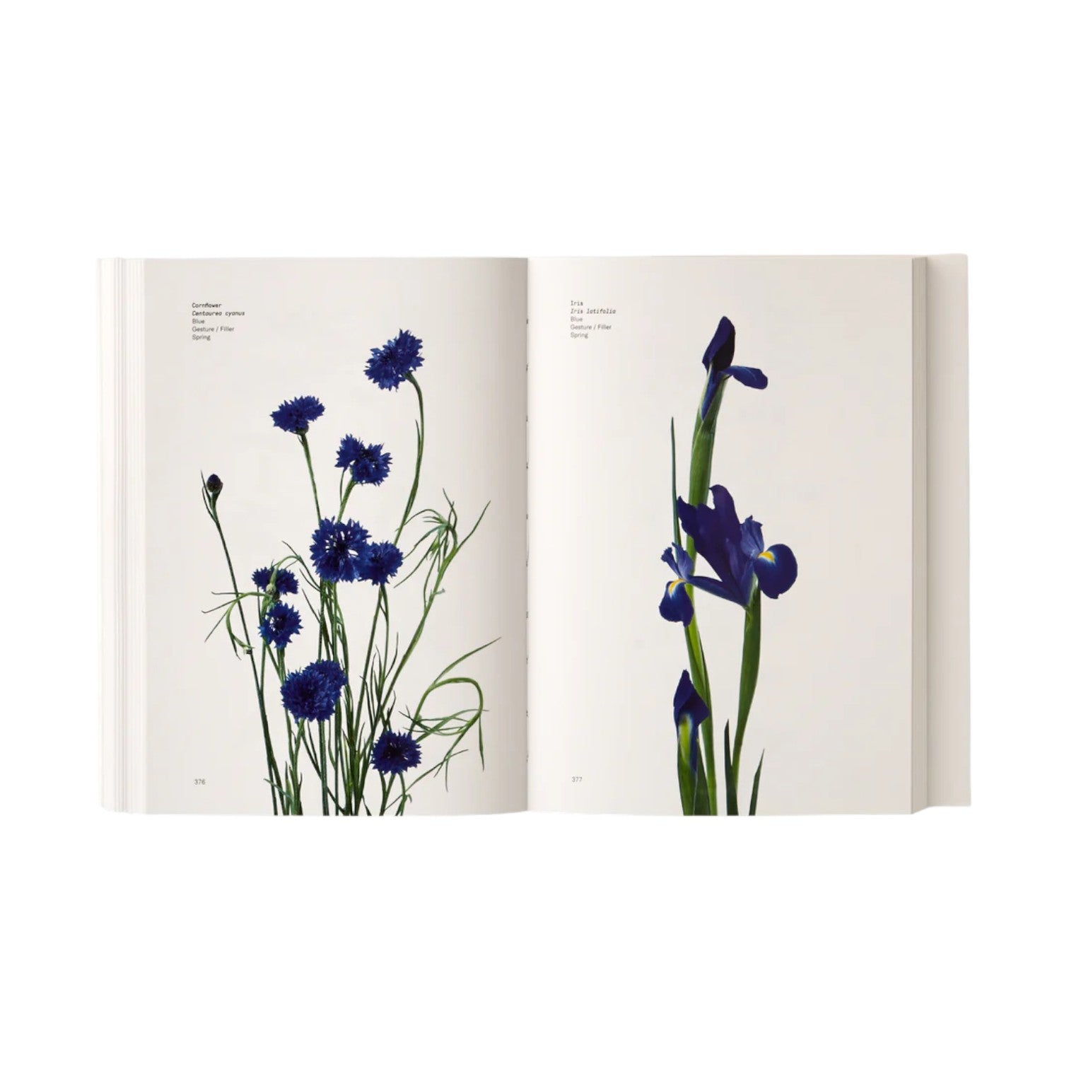 An open Phaidon Flower Color Guide shows blue flower photographs with botanical names on each page against a white background—ideal for discovering flower varieties by color.