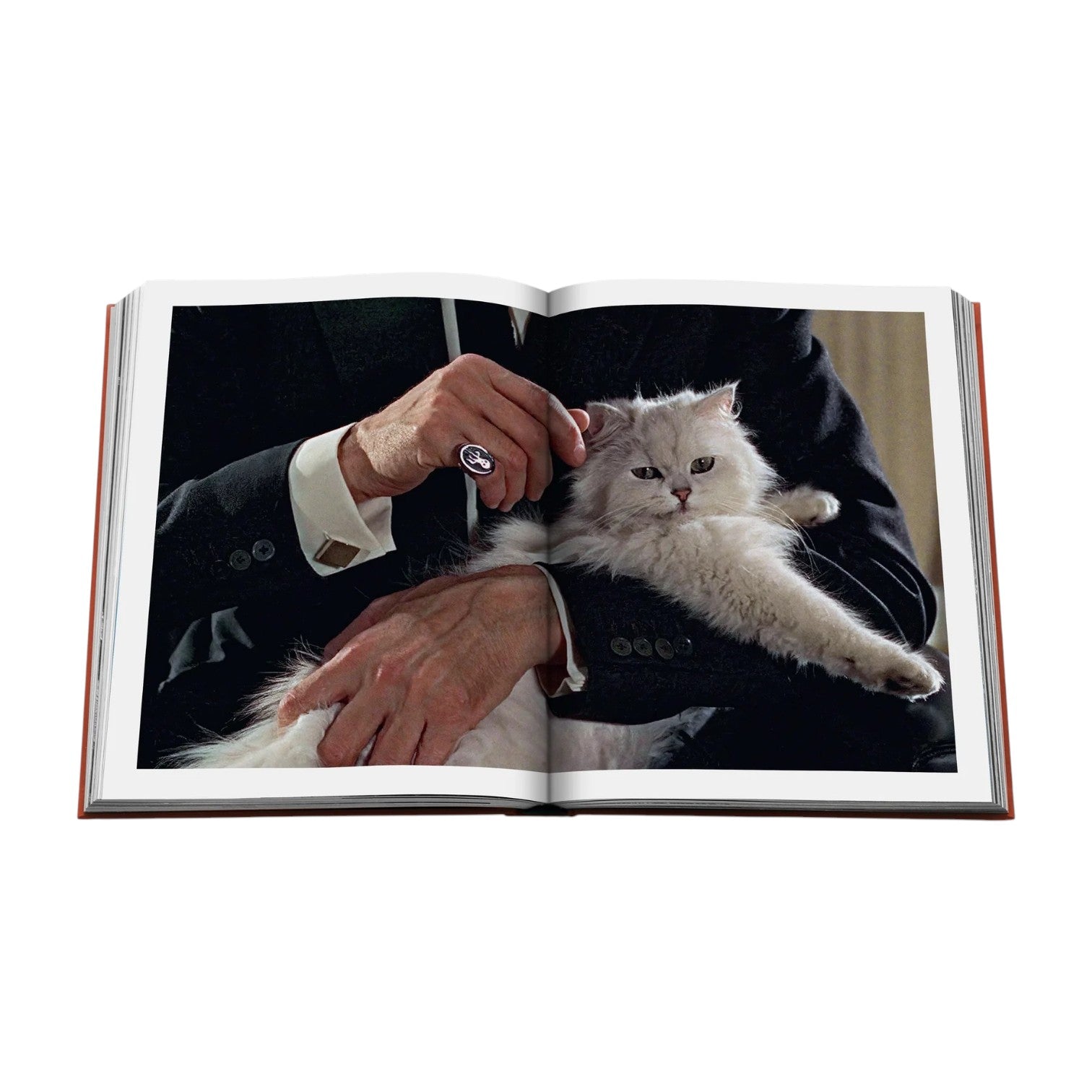A spread from "Chic Cats" by Assouline features a photo of a suited individual petting a fluffy white cat, showcasing the allure of felines in art and culture.