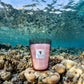 A Baobab Waves Malibu Candle placed on a coral reef under clear ocean water, showcasing a blend of natural and manufactured elements.