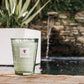 A large green Baobab Collection Waves Nazare Candle on a stone patio with a background water feature and lemon tree wood plants.