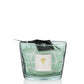 A Baobab Waves Nazare candle with a black ribbon and label on a white background, featuring a subtle scent of lemon tree wood.