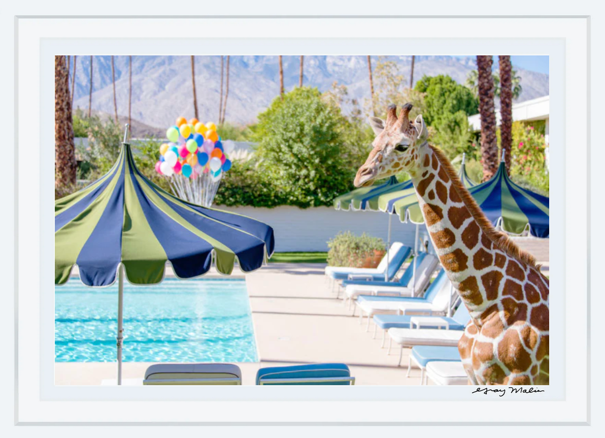 A giraffe stands beside a pool with striped umbrellas, lounge chairs, and balloons—capturing the whimsy of Parker Palm Springs in Gray Malin’s “Lifeguard on Duty,” White Frame, 36" x 51", by Gray Malin.