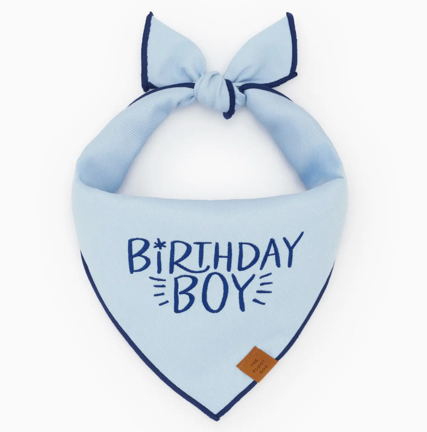 The Foggy Dog Birthday Boy Embroidered Dog Bandana features a light blue fabric with dark blue trim, a tie-top design, and “Birthday Boy” boldly embroidered on the front. A small brown tag is sewn onto the corner, creating a charming keepsake accessory for your dog.