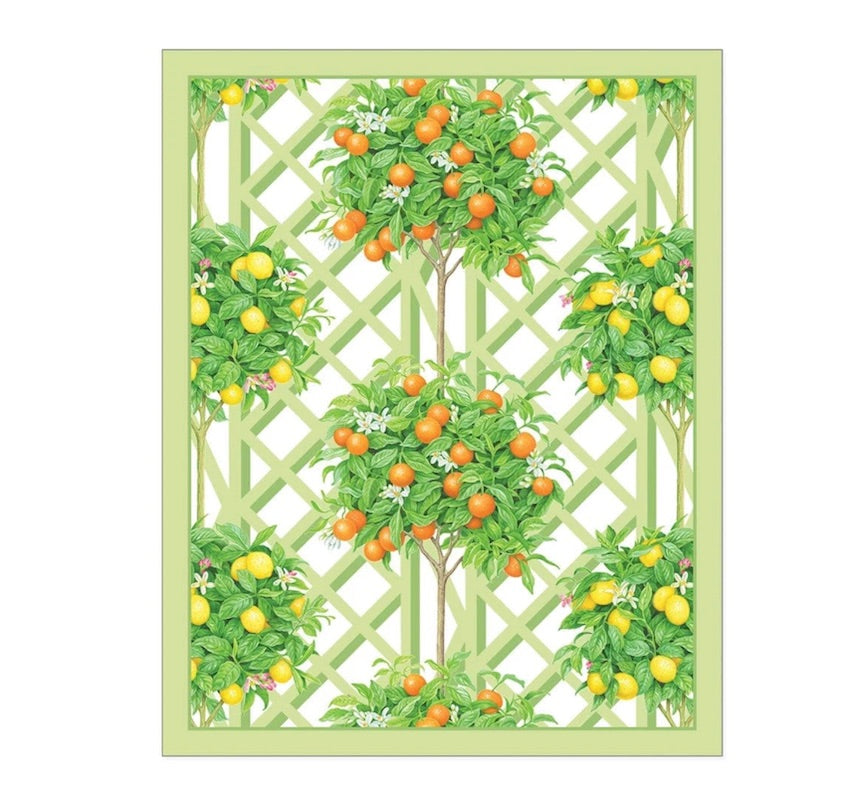 Caspari’s Citrus Topiaries Bridge Collection features vibrant illustrations of orange and lemon trees on a light green lattice, bordered in green—ideal for bridge or any four-player card game.