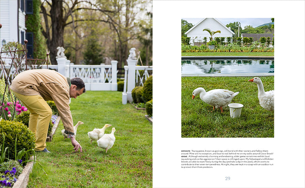 A tranquil country retreat scene from Common Ground’s *A Year at Clove Brook Farm* shows a person bending down to feed three ducks on the lawn; two smaller images feature ducks and geese by the pool, with a garden and bucket in the background, capturing the pastoral charm of Christopher Spitzmiller’s countryside haven.
