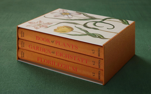 A set of three orange hardcover books by Taschen, titled "Book of Plants," "Garden at Eichstätt," and "Florilegium," showcasing botanical art from the Basilius Besler Hortus Eystettensis facsimile edition.