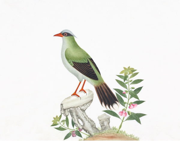 Chinese Birds Print