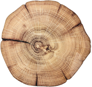 The Woodland Placemat by Kim Seybert features a tree trunk cross-section with growth rings, cracks, and natural wood texture—ideal for nature-inspired décor or as a unique rustic placemat.