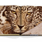 An open book, "Arabian Leopard" by Assouline, showcases a close-up image of the striking leopard's face with its intense eyes and detailed spots, emphasizing the beauty of this critically endangered species and underlining wildlife conservation's importance.