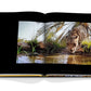 Assouline's "Arabian Leopard" book showcases a glossy page with a leopard drinking water, surrounded by grass and palm trees, emphasizing the importance of conserving this critically endangered species.
