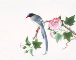 Chinese Birds Print 3704 by Ornis Gallery features a long-tailed Chinese bird on a branch with green leaves and pink flowers, set against a white background—ideal for display and perfectly suited to Larson-Juhl frames.