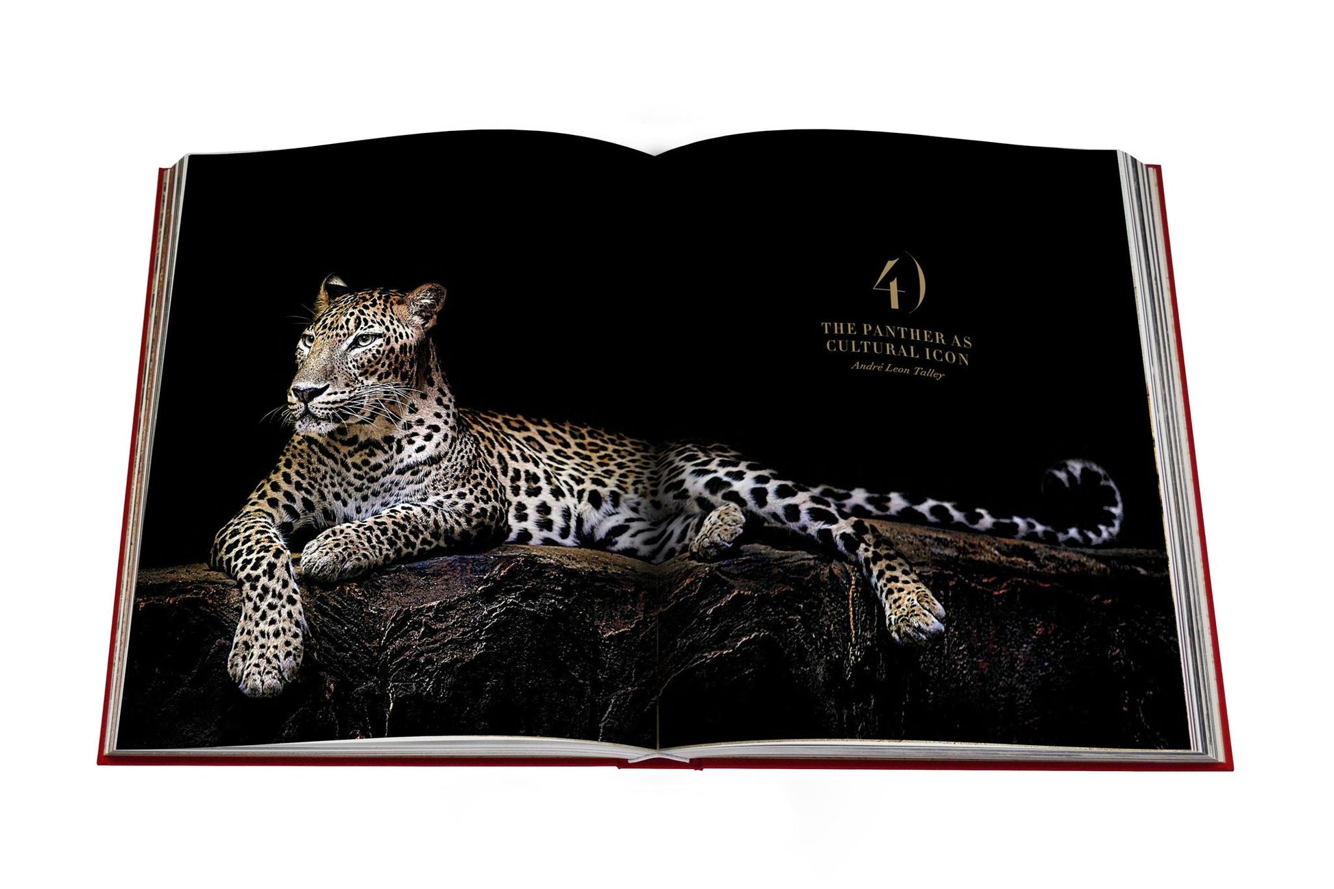 An open book displaying a photograph of a leopard lounging on a rock against a black background features the text "The Panther as Cultural Icon." This striking image captures the essence of modern femininity, reminiscent of the allure and grace found in Cartier Panthere jewelry by Assouline.