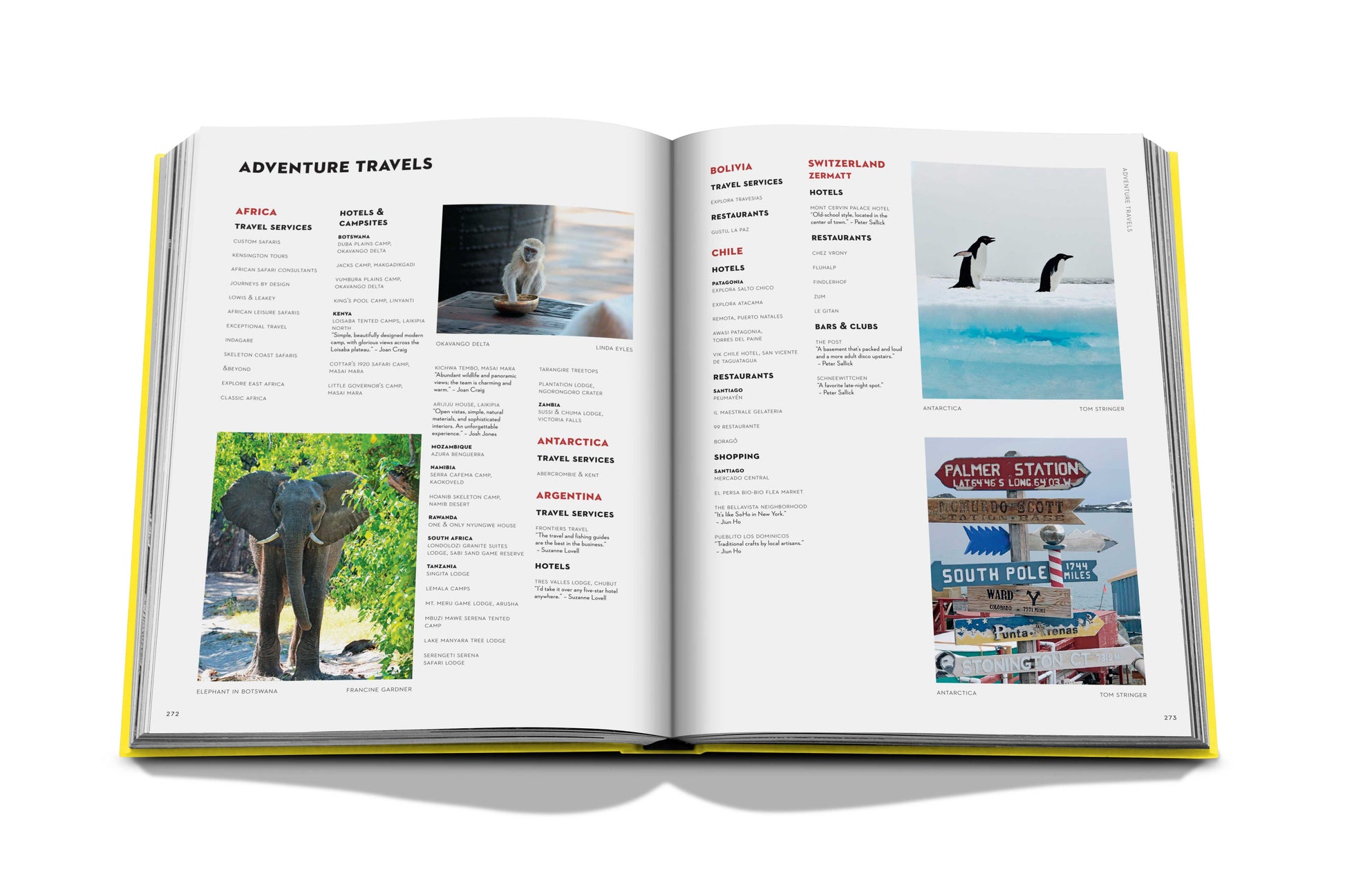 An open book with photographs of a bird and a plane from "Travel by Design" by Assouline.