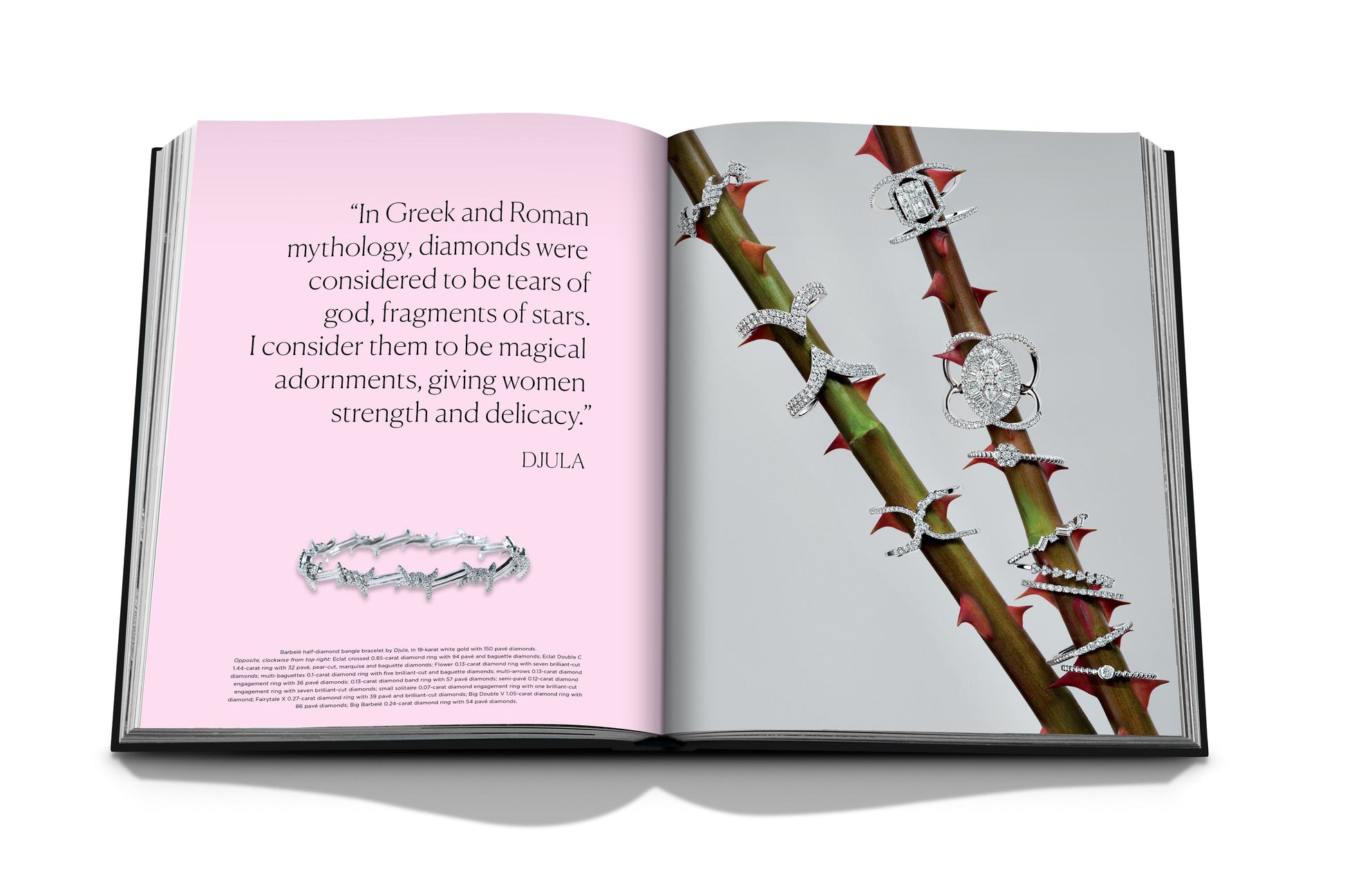 Open book displaying luxury jewelry pieces on thorny stems and a pink page with a quote about natural diamonds in mythology and their significance, credited to "Diamonds: Diamond Stories" by Assouline.