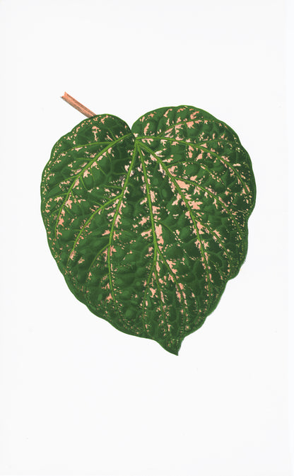 The Ornis Gallery English Leaves Print 8259 features a solitary green, heart-shaped leaf with light brown speckles and a short brown stem on white archival paper, inspired by Swedish Botanicals.