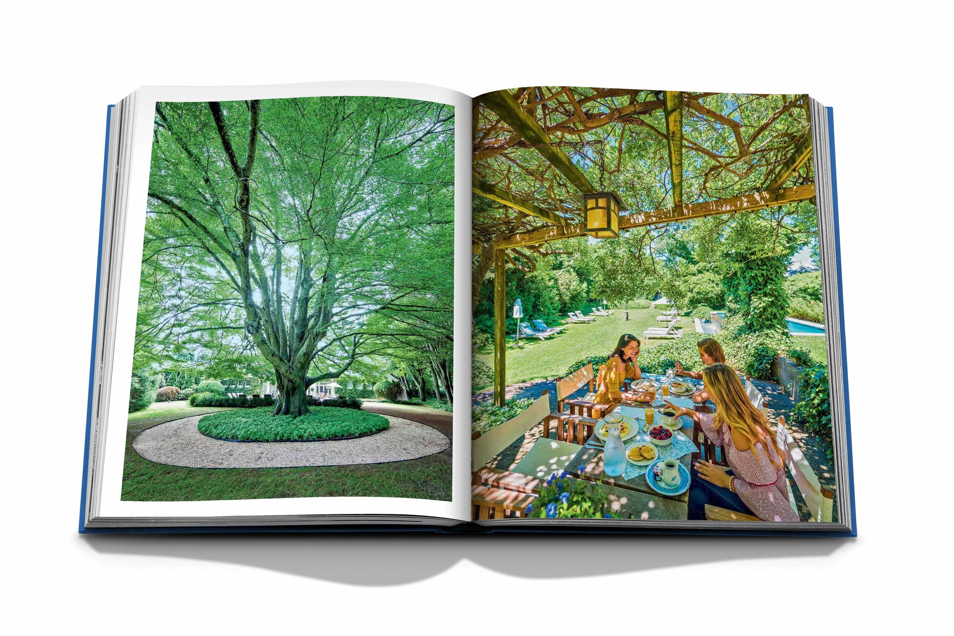 An open book with a picture of a tree is the perfect addition to any Hamptons Private collection from Assouline.