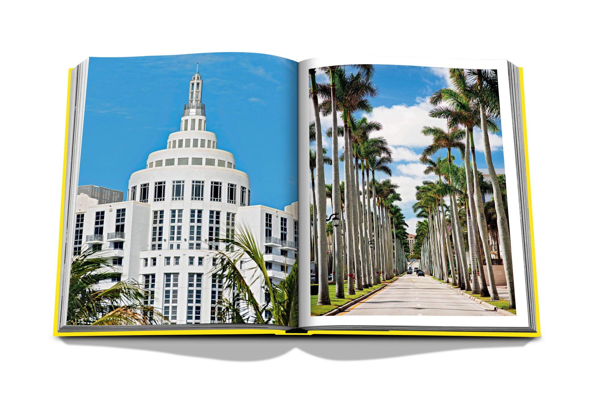 A Miami Beach book with a picture of palm trees, capturing the essence of Miami life by Assouline.