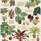 The Cavallini Papers and Co House Plants 1,000 Piece Puzzle features illustrated potted plant species with labeled care tips for soil, watering, nutrition, light, humidity, and propagation—perfect for plant lovers and puzzle fans.