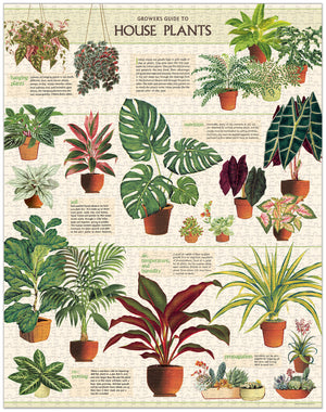 The Cavallini Papers and Co House Plants 1,000 Piece Puzzle features illustrated potted plant species with labeled care tips for soil, watering, nutrition, light, humidity, and propagation—perfect for plant lovers and puzzle fans.