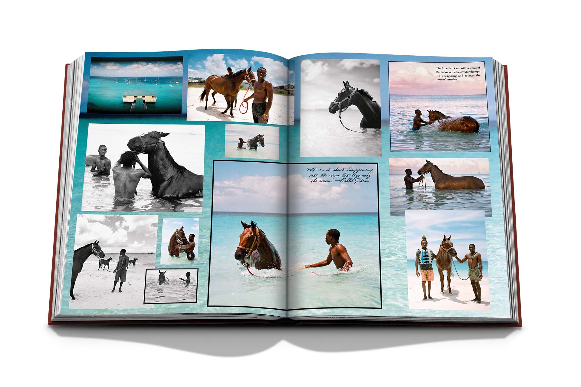 An open photo album displaying various pictures of horses and people at Polo Heritage tournaments at the beach by Assouline.
