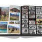 Open photo album displaying images of horses and riders, with scenic mountain backgrounds, sports events, and polo tournaments by Assouline's Polo Heritage.