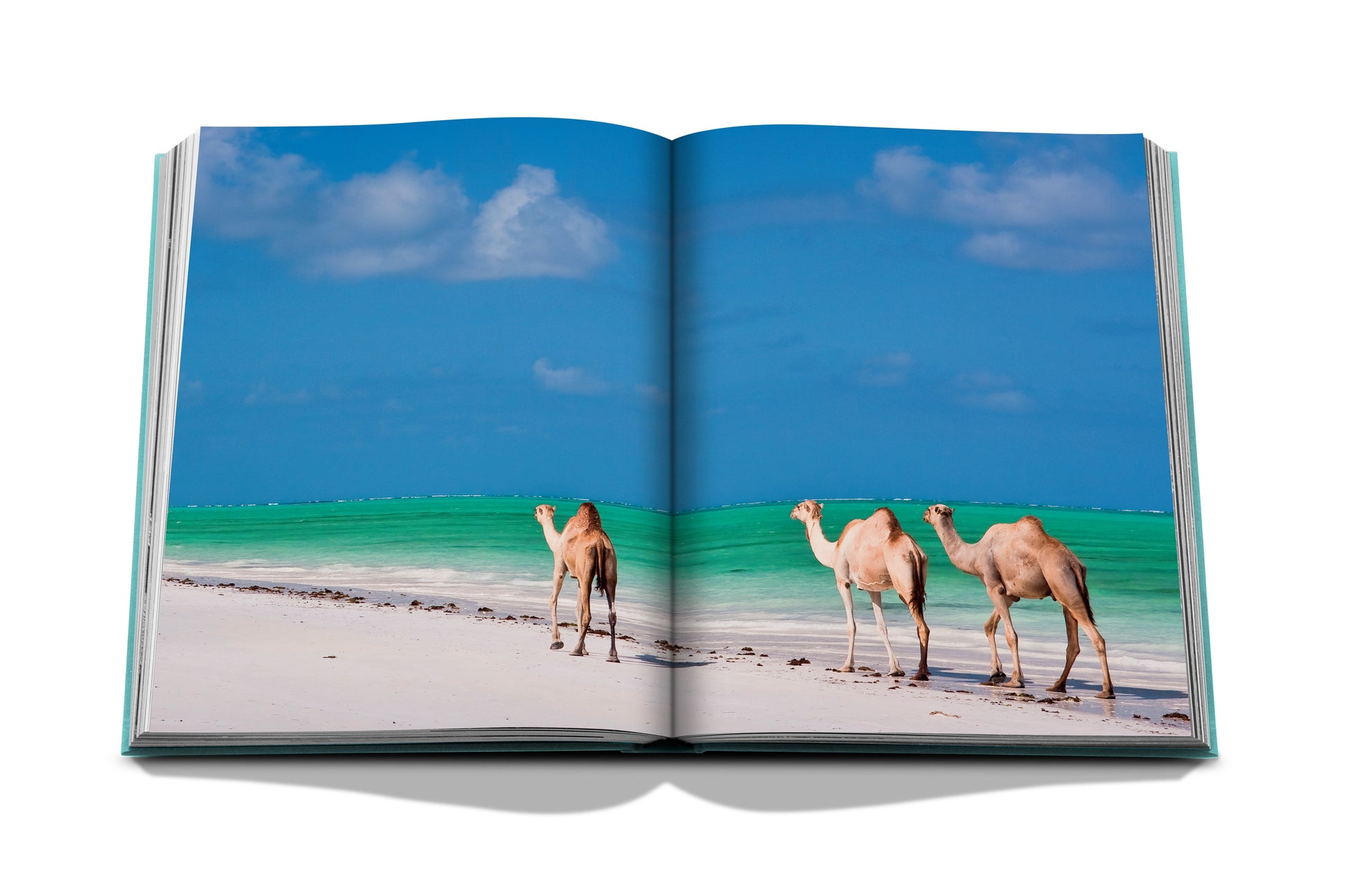 Open book featuring a photograph of two camels on a sandy beach by the Red Sea with clear blue water in the background, Red Sea: The Saudi Coast by Assouline.
