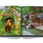 An open book displaying two vivid nature photographs: one page showing a weaver bird with its nest in a tree, the other a serene Red Sea landscape with large trees and rocks from "Red Sea: The Saudi Coast" by Assouline.