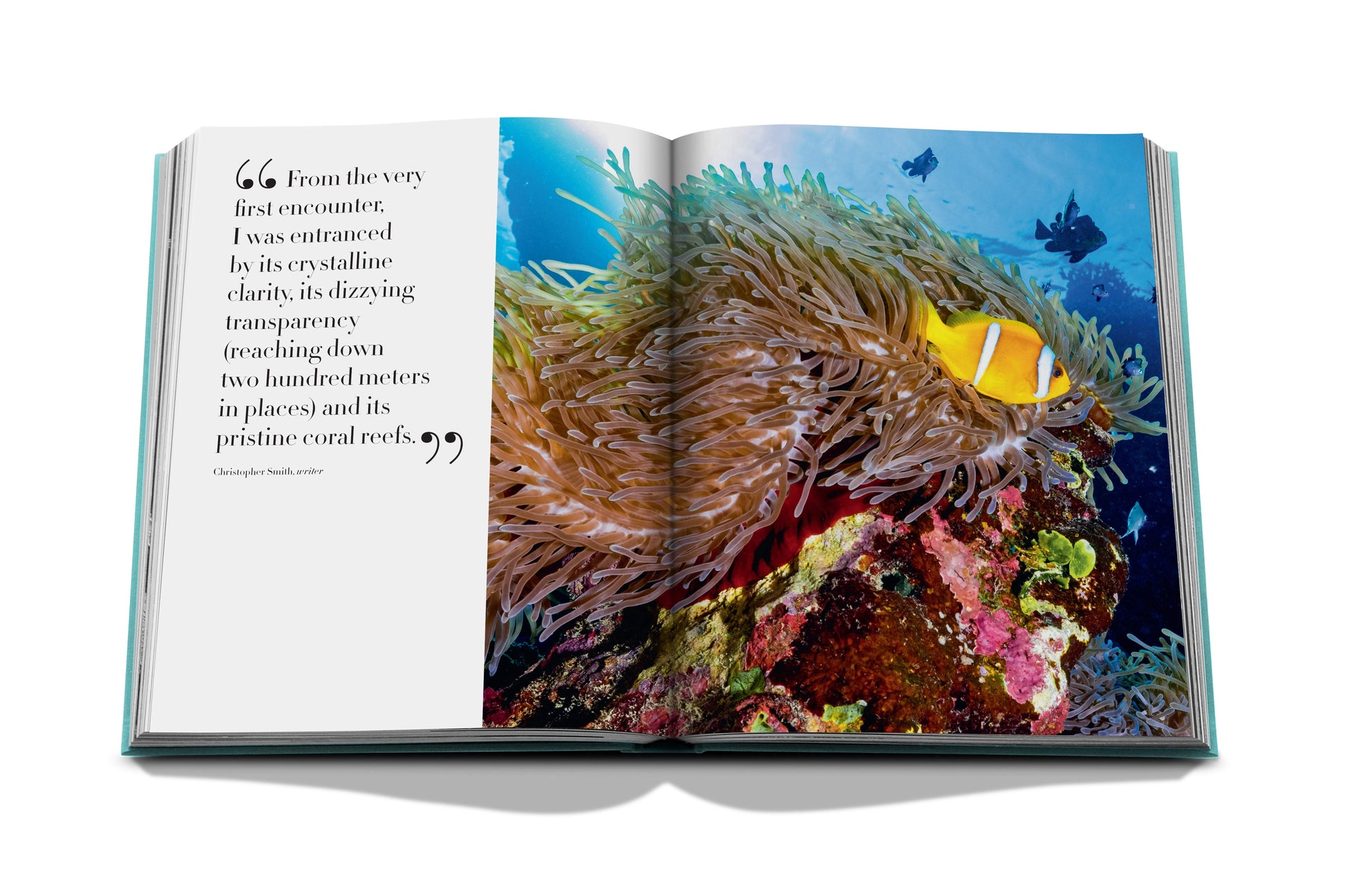 An open book displaying a vibrant underwater photograph featuring a clownfish among coral reefs in Red Sea: The Saudi Coast, accompanied by an inspiring quote about ocean exploration by Assouline.