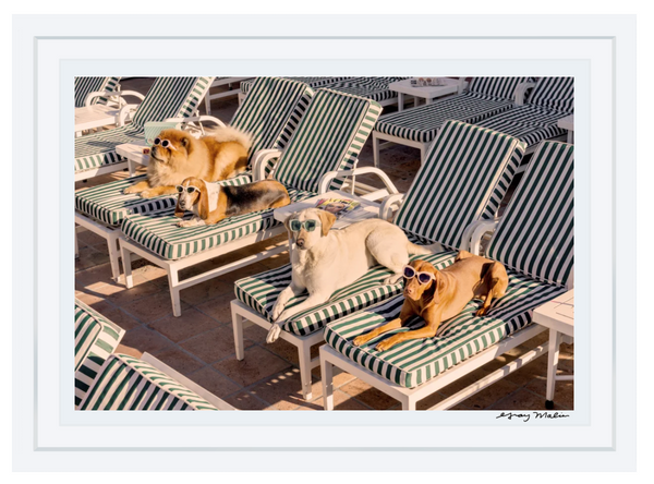 Gray Malin The Sunbathers, The Beverly Hills Hotel, White Frame, 11.5