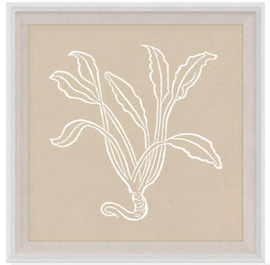 The Botanical Study Series 4 by Natural Curiosities, measuring 21"x21", showcases a simple white line drawing of a long-leafed plant on a beige background, fitting beautifully into diverse home styles.