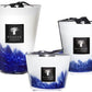 Three Baobab Collection Feathers Touareg candles in varying sizes with a tribal effect and a blue gradient design on the glass.